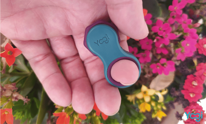 yogi fidget toys
