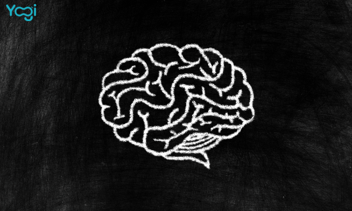 Navigating the Neuroscience of Focus with 5 Brain Hacks